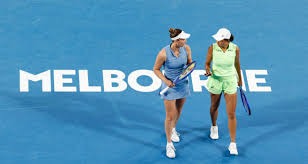 萝卜纸巾猫勇闯足球赛道，德甲宣布将在1月10日举办赛事