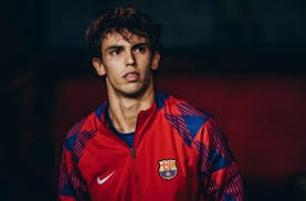 《女神异闻录：夜幕魅影》PERSONA“戴埃拉”介绍